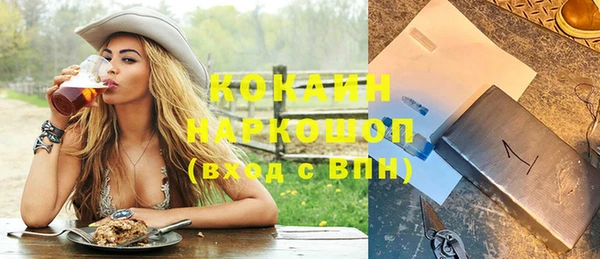 бошки Мегион