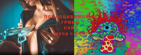 Альфа ПВП Майский