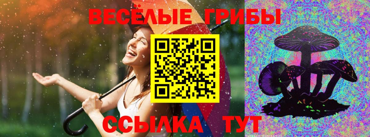 Галлюциногенные грибы Psilocybine cubensis Якутск