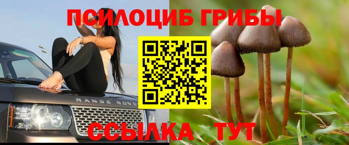 Якутск  Псилоцибиновые грибы прущие грибы  Вход с VPN 